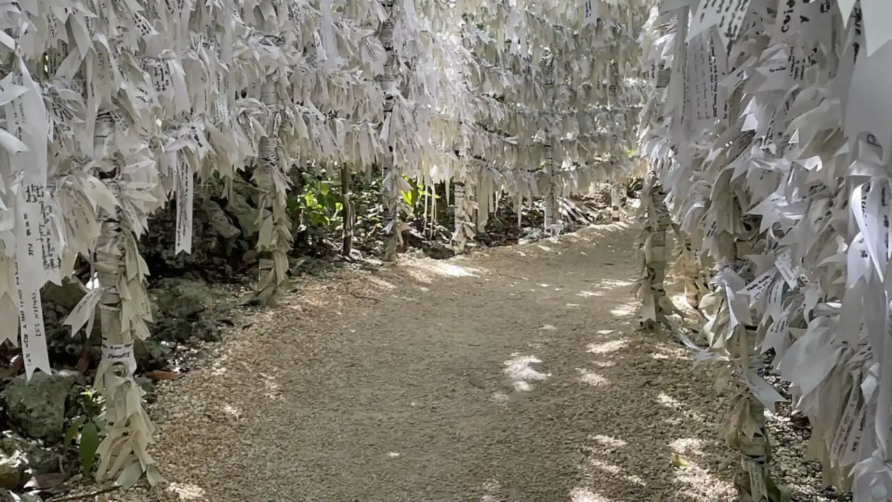 Cintas de intenciones en el Santuario de la Virgen Desatadora de Nudos, Cancún